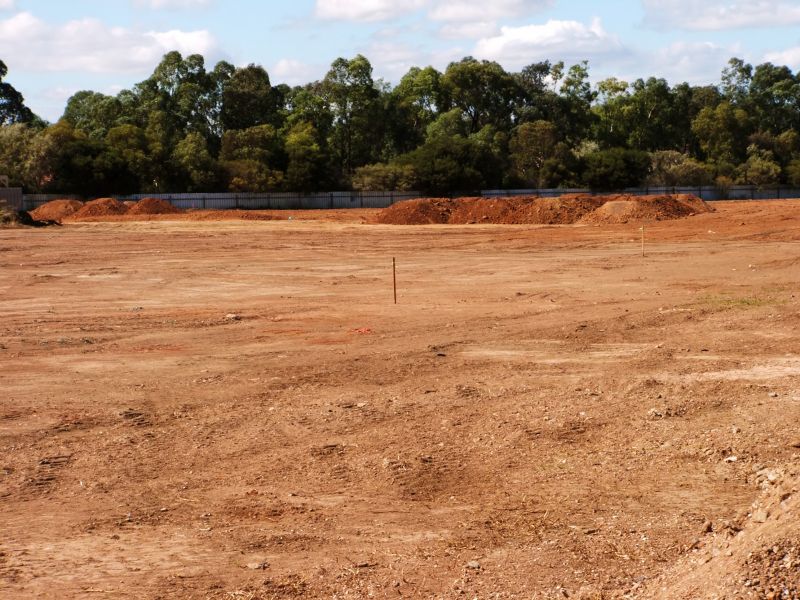 Brush Clearing for Land Development