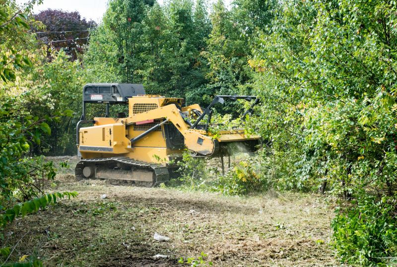 Thicket Clearing in Utah County, UT